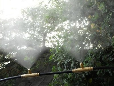 高壓霧化噴嘴在園林中的噴霧應用